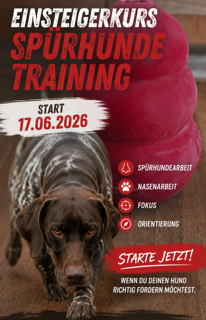 Spürhundearbeit 
Scent detection
Nasenarbeit